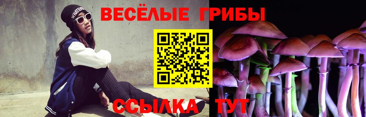 Псилоцибиновые грибы MAGIC MUSHROOMS  Вход с VPN  цена наркотик  Томск 